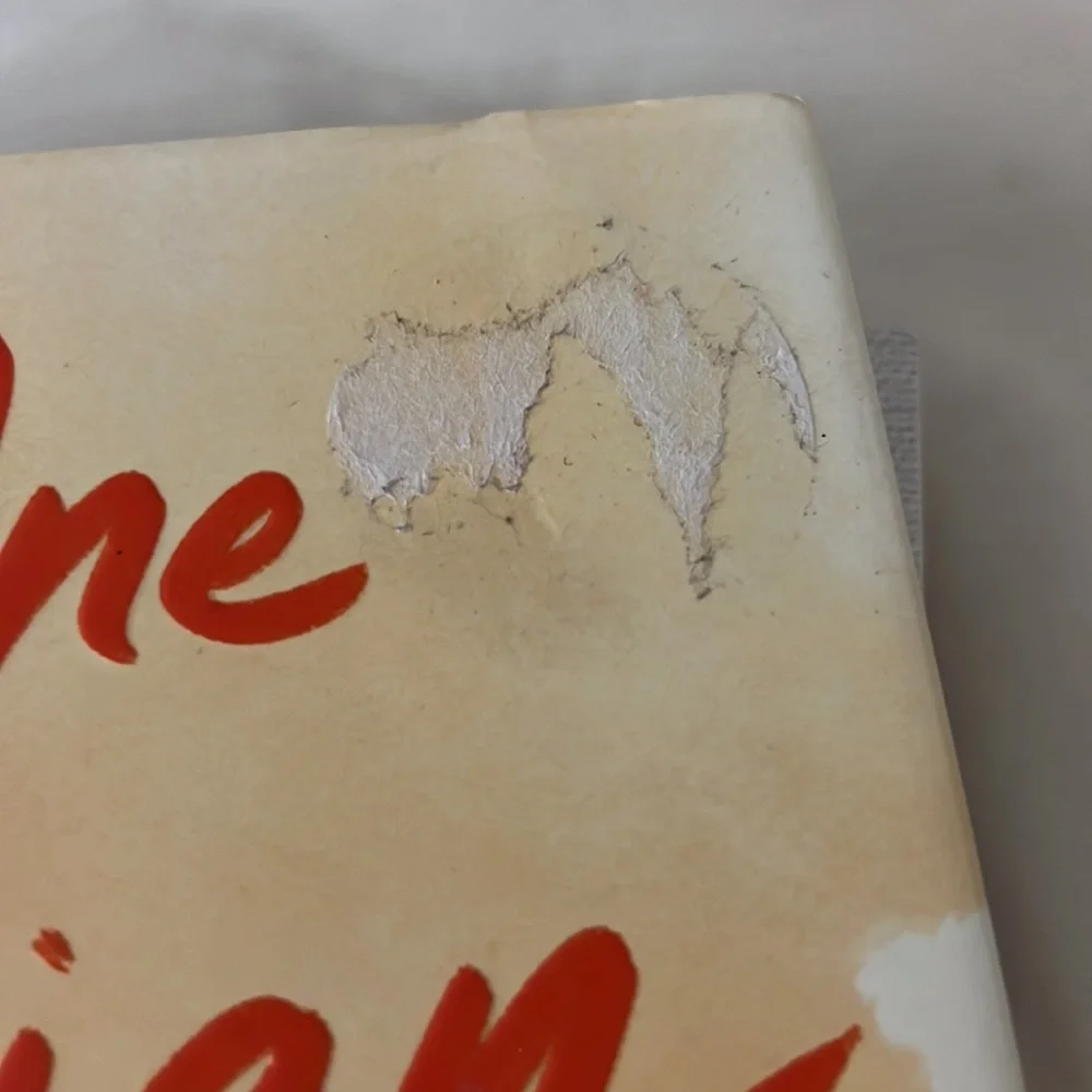 One Italian Summer - Picture 4 of 4